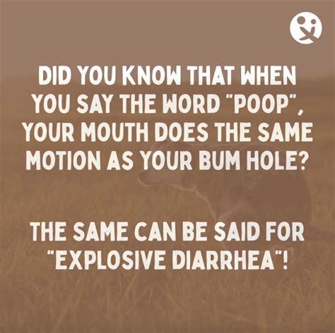 Poop Humor 的图像结果