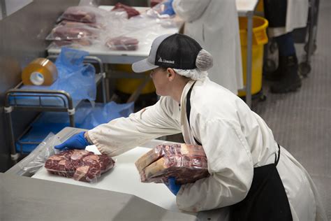 Image result for Beef Processing Systems