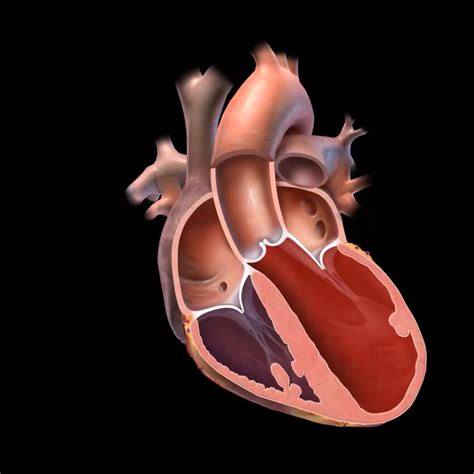Image result for Heart with Name Using Python