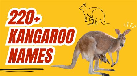 220+ Cute & Funny Kangaroo Names +AI Generator