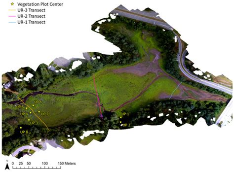UAV and Structure-From-Motion Photogrammetry Enhance River Restoration ...