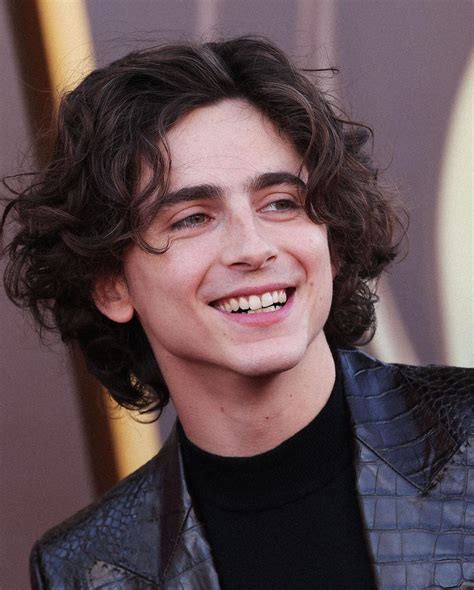 How to get timothée chalamet s famously tousled hairstyle – Artofit