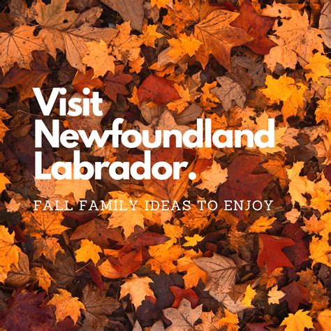 7 Beautiful And Happy Fall Family Ideas To Enjoy