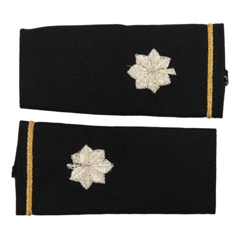 Image result for Lieutenant Colonel Rank