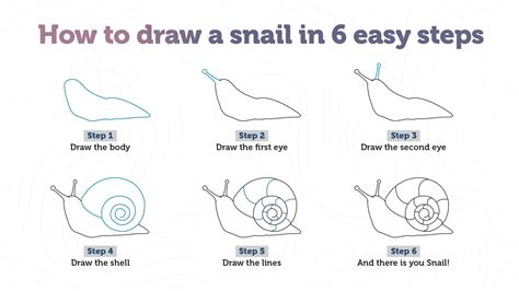 Image result for Snail Shell Simple Drawing
