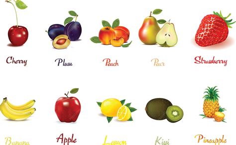 Una lista de frutas con los nombres de frutas y verduras. | Vector Premium