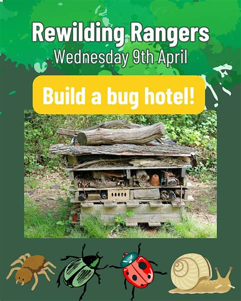 Rewilding Rangers: Build a bug hotel, Denmarkfield Allotments, Perth, 9 ...