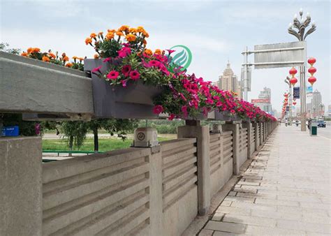 梯形花盆LT-T5030 -护栏绿化花盆-PP塑料花盆-高架桥天桥绿化花盆