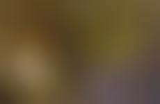 28 Cardboard Furnishings