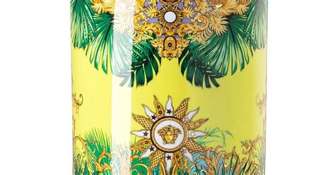Rosenthal Versace Jungle Animalier Vase