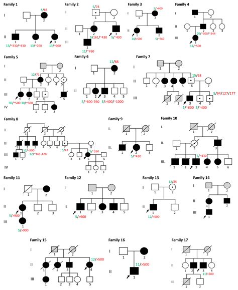 The Study of the Inheritance Mechanisms of Myotonic Dystrophy Type 1 ...