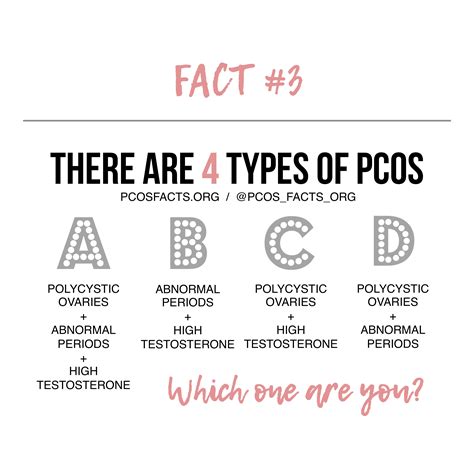 The 4 Types of PCOS | Pcos awareness, Pcos, Pcos fertility