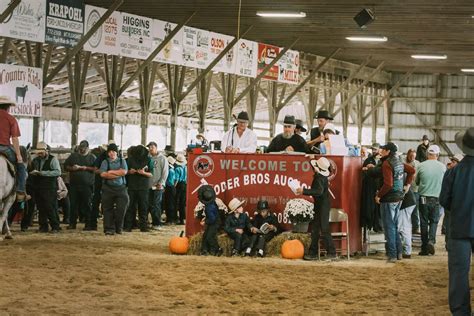 Image result for Yoder Poultry Auction