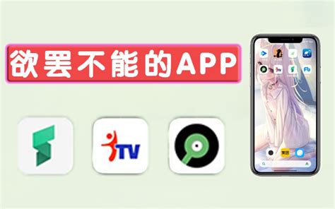 听歌软件谁更厉害？4款音乐APP付费体验