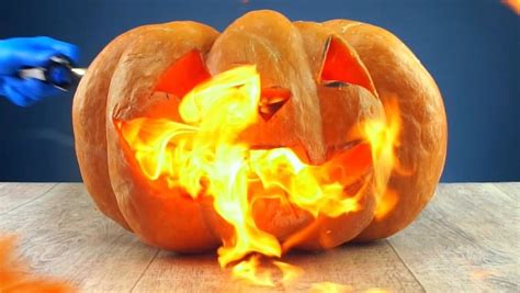 Image result for Exploding Pumpkin Carving