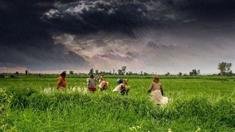 Did Climate Change and Farm Distress Contribute to the BJP's Defeat in ...