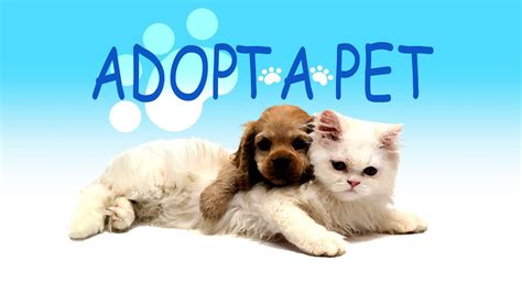 Adopt Me Cute Pets 的图像结果