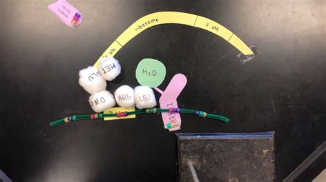 Image result for Transulation Animation