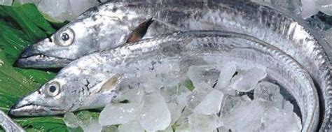 冷冻带鱼保质期是多久 - 业百科