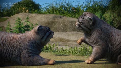 Planet Zoo krijgt nieuwe DLC: Zookeepers Animal Pack, releasedatum is ...