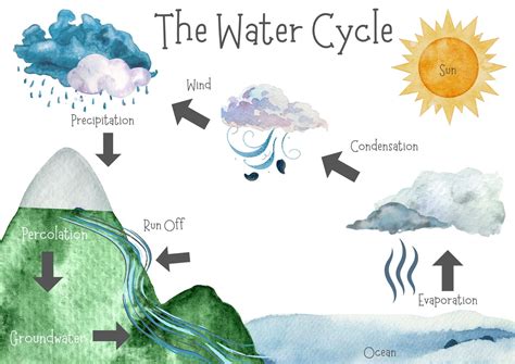 The Water Cycle Posters - Freebie Over at Our Website - Etsy