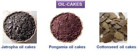 ORGANIC FARMING :: Manures