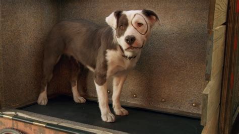 Image result for Simpons Teating the Dogs