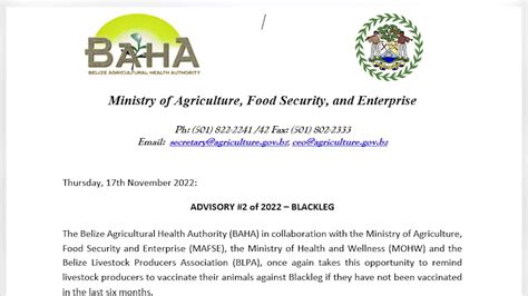 BAHA issues advisory on blackleg in cattle – Love FM Belize News ...
