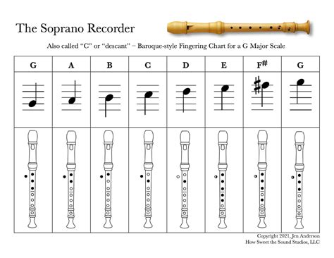 Image result for How to Play a Recorder Basic