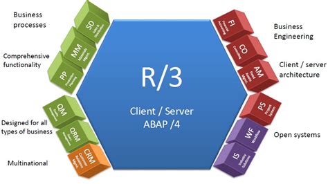 SAP R 3 Module 的图像结果