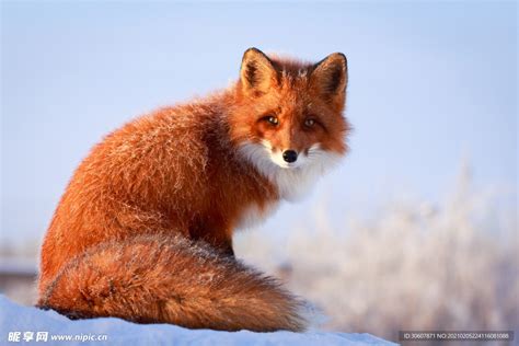 火狐Firefox 23.0正式發布 - phs100的創作 - 巴哈姆特