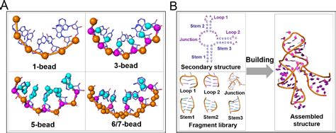 Image result for RNA Structure and Function