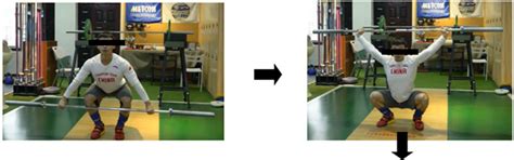 Impact Noise and Vibration Sources Induced by Heavy Gym Activities: Do ...