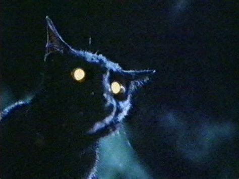 Image result for Shell Advert Stain More