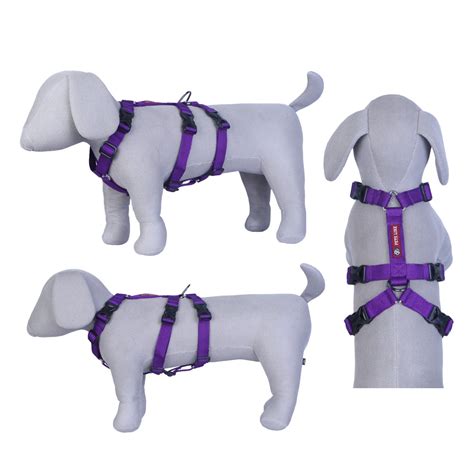 Buy Harness & Body Belt for Dog Online at Best Prices – petslike.in