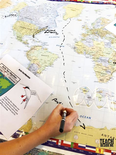 Image result for Simple Map for Kids