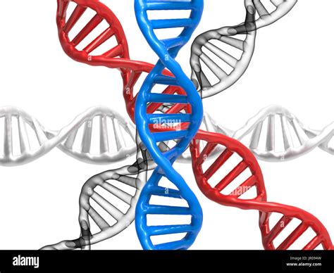 DNA Structure 的图像结果