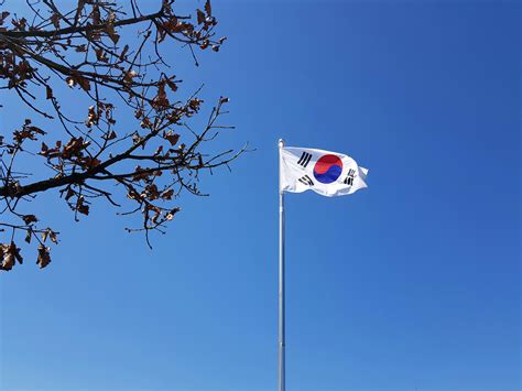 Bandeira Nacional Da Coreia Do Sul · Foto profissional gratuita