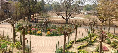 Palli-Siksha Bhavana