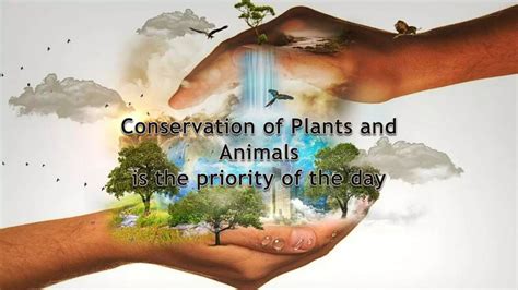 Conservation of biodiversity acts and laws...... | PPT