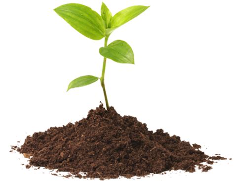 Tamil Nadu Biodiversity Board | TNBB