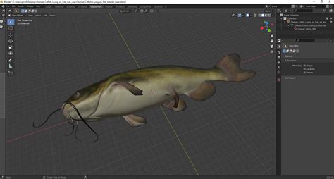3D model Channel Catfish Laying on Side | 3D Molier International