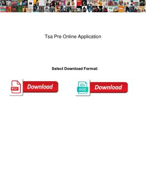 Image result for TSA Application Process