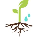 Image result for Root Application