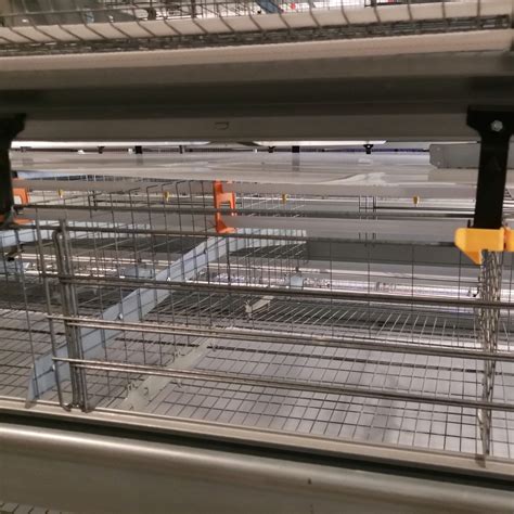 Galvanized Welded Wire Mesh Industrial Large-Scale 4 Tiers H Type Birds ...