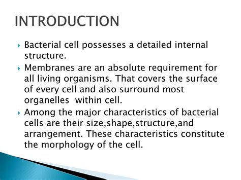 Cell membrane and cell morphology | PPTX