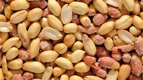 7 high-protein vegetarian Indian snacks that don’t require cooking