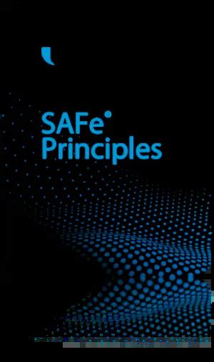 Safe Principles 的图像结果