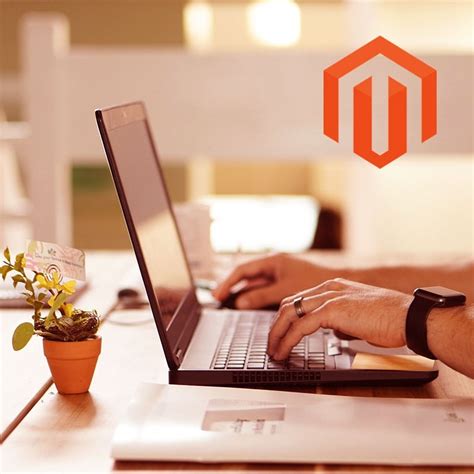 Magento Developer Tutorial 的图像结果