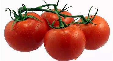 tomatoes 的图像结果